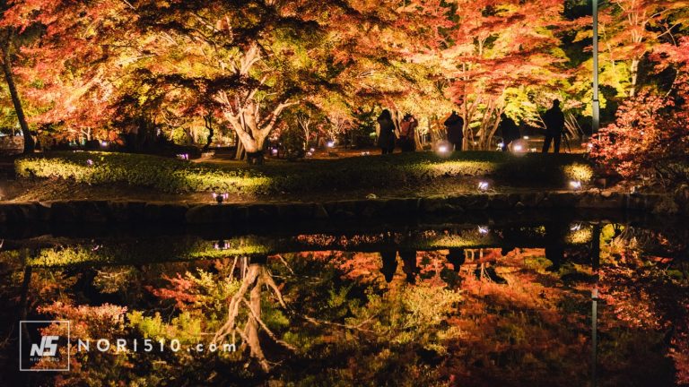 逆さ紅葉が綺麗だった曽木公園のライトアップ【岐阜土岐小旅行】