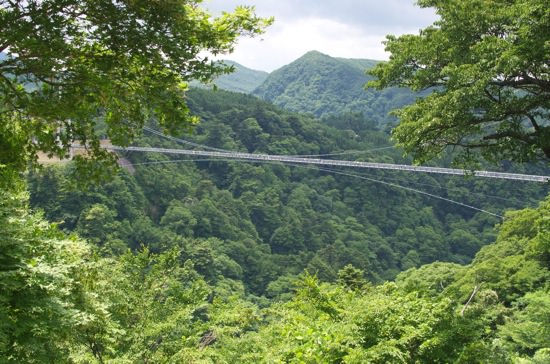 DSC_0067.jpg DSC 0067