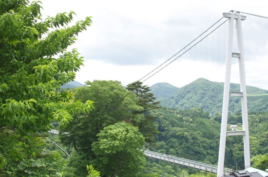 DSC_0075.jpg DSC 0075