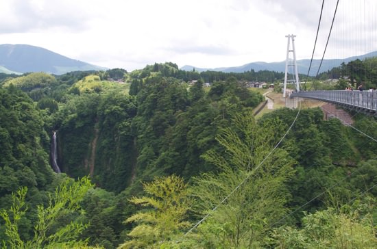 DSC_0088.jpg DSC 0088