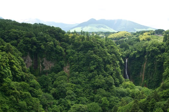 DSC_0098.jpg DSC 0098