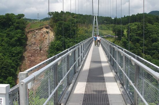 DSC_0115.jpg DSC 0115